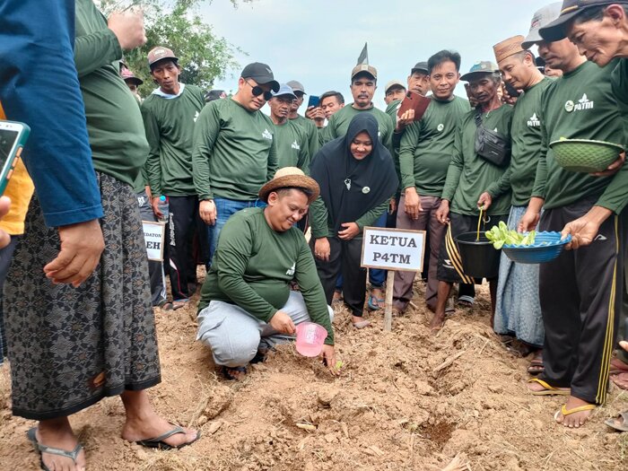 Khairul Umam Ketua P4TM (pegang gayung) menanam tembakau varietas Kastore Pote bersama petani di Desa Montok
